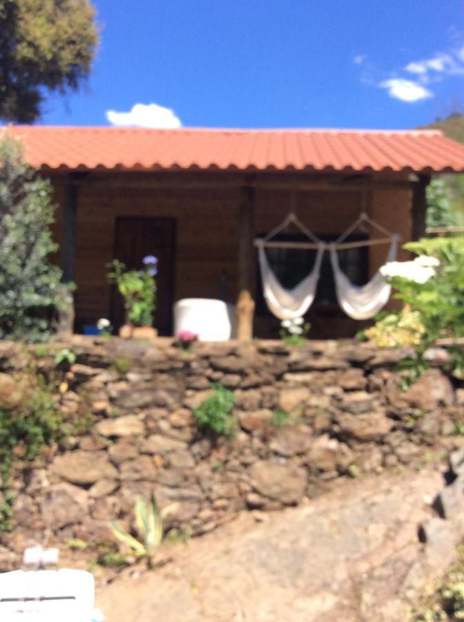 Unique Tiny House With Natural Building Techniques フィゲイロー・ドス・ヴィーニョス エクステリア 写真