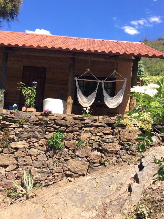 Unique Tiny House With Natural Building Techniques フィゲイロー・ドス・ヴィーニョス エクステリア 写真