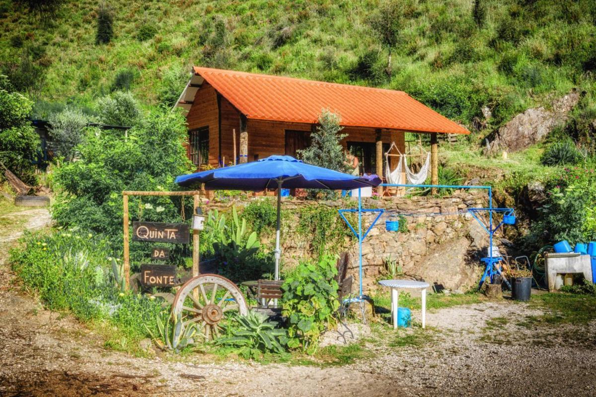 Unique Tiny House With Natural Building Techniques フィゲイロー・ドス・ヴィーニョス エクステリア 写真
