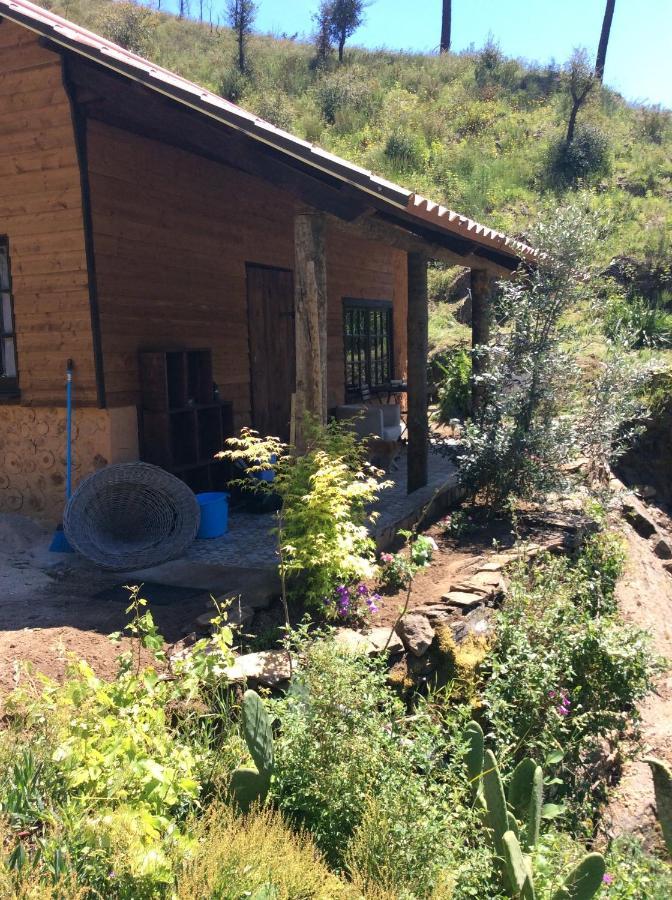 Unique Tiny House With Natural Building Techniques フィゲイロー・ドス・ヴィーニョス エクステリア 写真