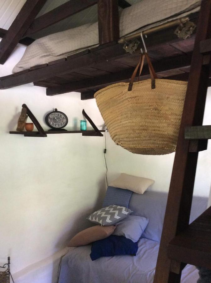 Unique Tiny House With Natural Building Techniques フィゲイロー・ドス・ヴィーニョス エクステリア 写真