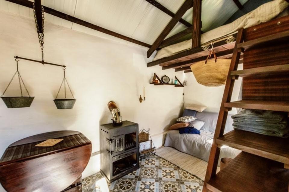 Unique Tiny House With Natural Building Techniques フィゲイロー・ドス・ヴィーニョス エクステリア 写真