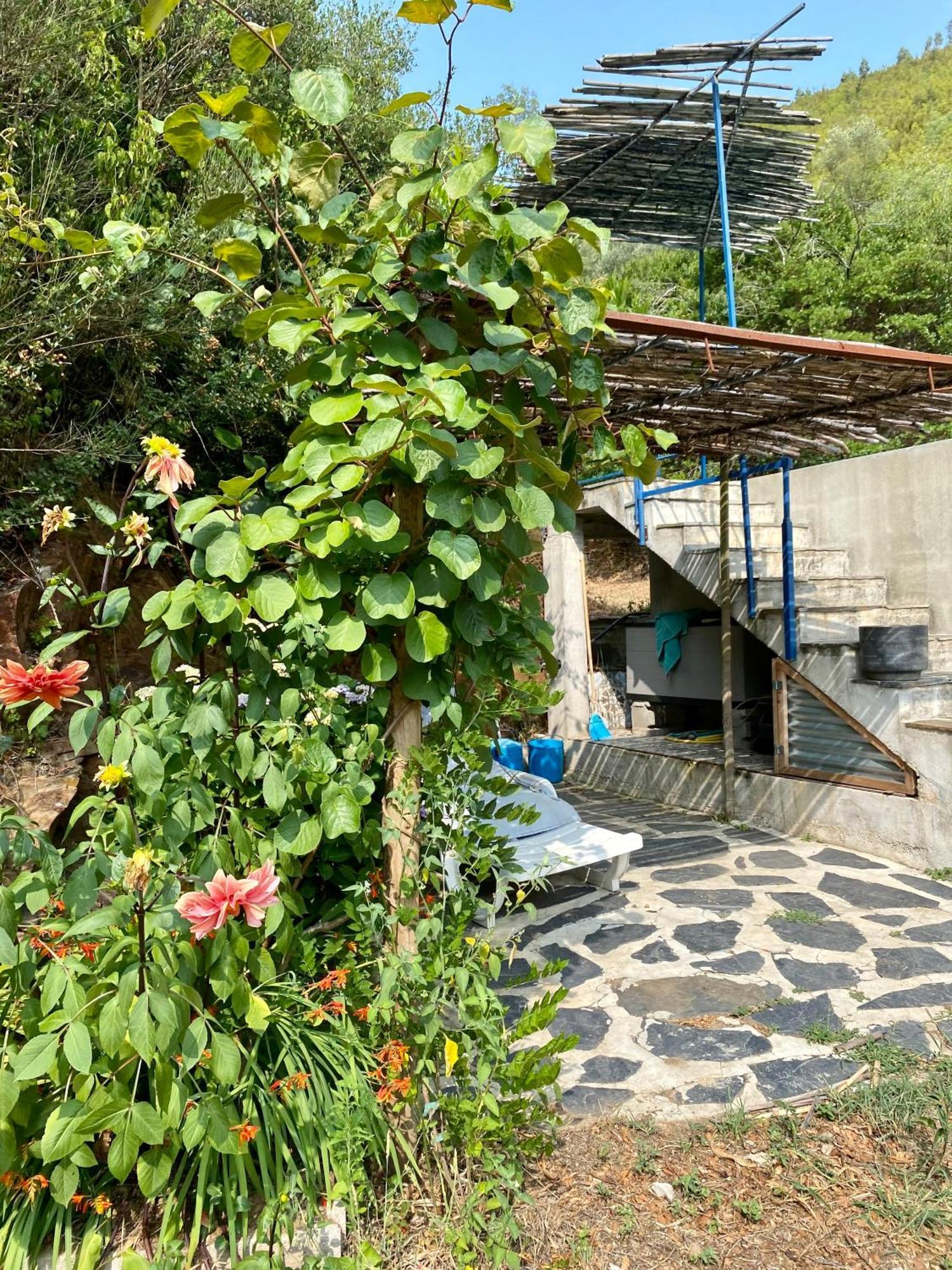 Unique Tiny House With Natural Building Techniques フィゲイロー・ドス・ヴィーニョス エクステリア 写真